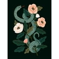 thumbnail image 2 of Barnes, Victoria 19x24 Gold Ornate Wood Framed with Double Matting Museum Art Print Titled - Skull and Snake II, 2 of 4
