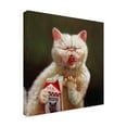 thumbnail image 2 of Trademark Fine Art 'Sour Milk' Canvas Art by Lucia Hefferna, 2 of 3