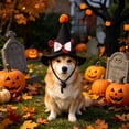 thumbnail image 2 of Pet Halloween Witch Hat, Mini Pointed Dog and Cat Costume with Bow, Spooky Fuzzy Ball Headwear with Chin Strap for Holiday Photos, 2 of 3