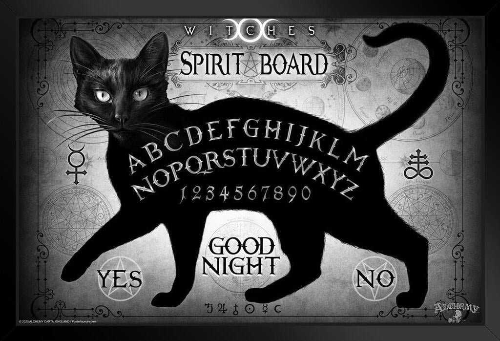 Alchemy Gothic Strange Cats Black Steel Metal Hanging Wall Plaque 