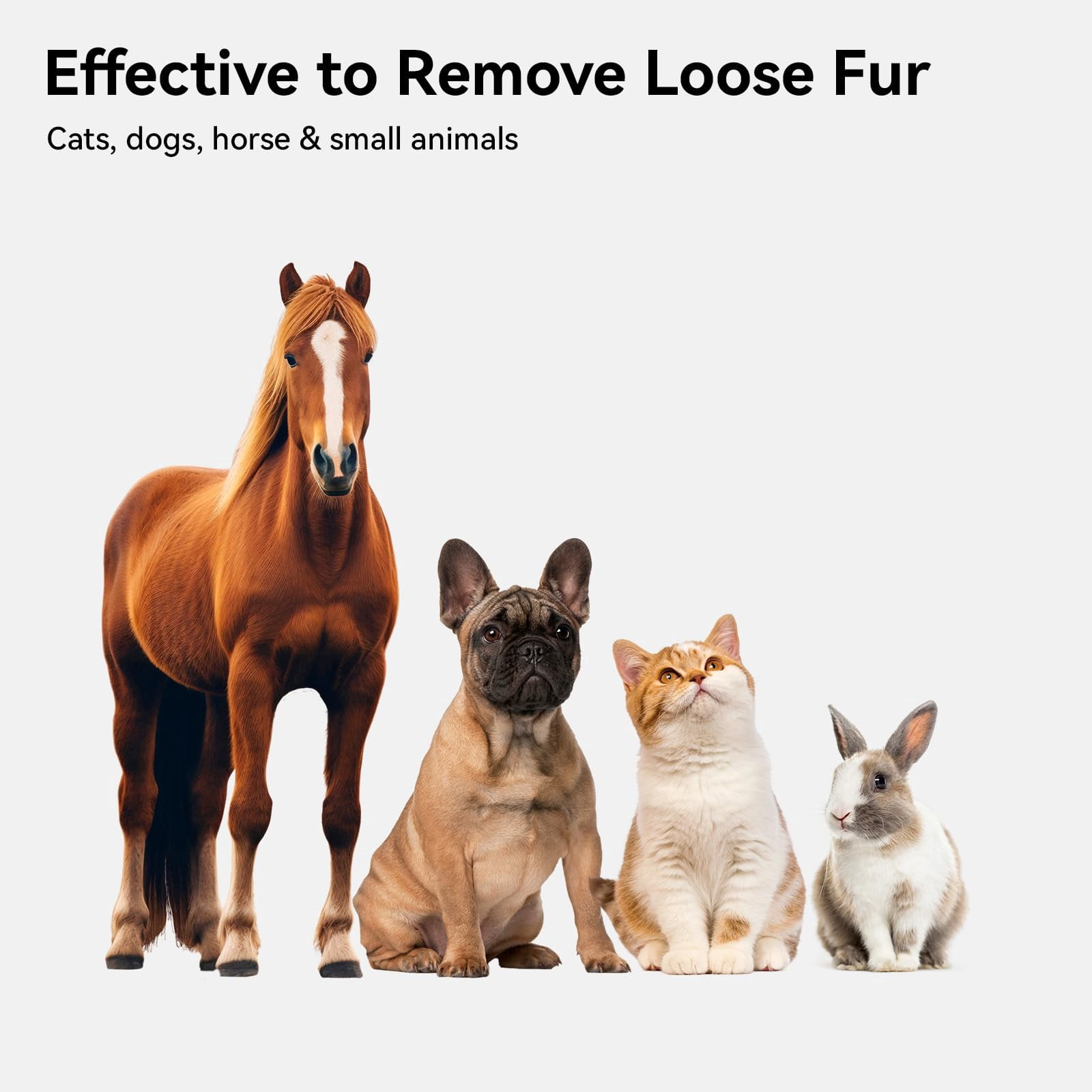 Cat Brush for Shedding, Cat Brushes for Indoor Cats, Cat Brush for Long or Short Haired Cats, Cat Grooming Brush Cat Comb for Kitten Rabbit Massage Removes Loose Fur