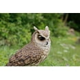 thumbnail image 2 of Hi-Line Gift Ltd Long Eared Owl on Stump Garden Statue, 2 of 5