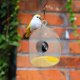 thumbnail image 4 of Comedero Para Pájaros Con Cámara 1080P Versión Nocturna Cámara De Vídeo Wifi Hotspot Conexión Remota Con Teléfono Móvil Para Fotos De Observación De Aves Al Aire Libre, 4 of 8