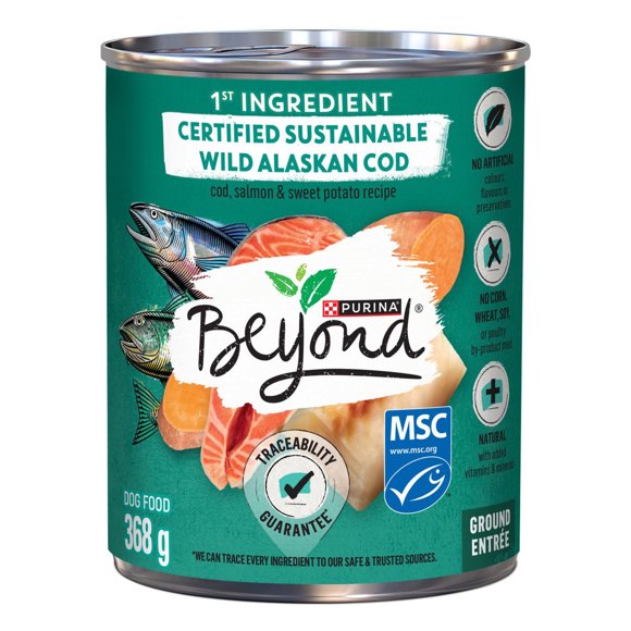 Beyond Recette de Morue de l'Alaska, de Saumon et de Patates Douces, Nourriture Humide pour Chiens 368 g
