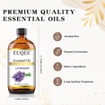thumbnail image 3 of EUQEE 118ML Lavender Essential Oil for Diffuser, DIY Making, 3 of 8