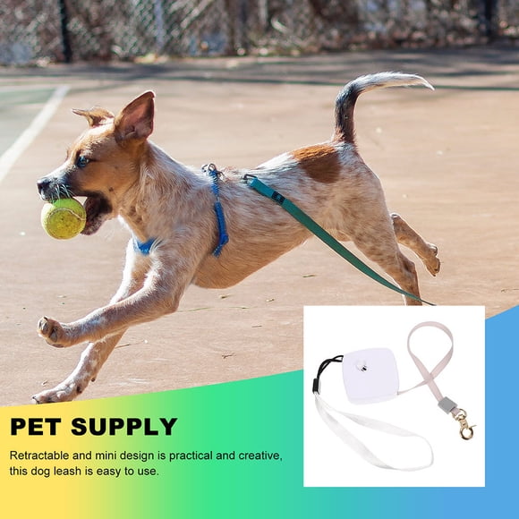 Raindrops 1Set Retractable Dog Tie Out with Portable Design for Pet Owners