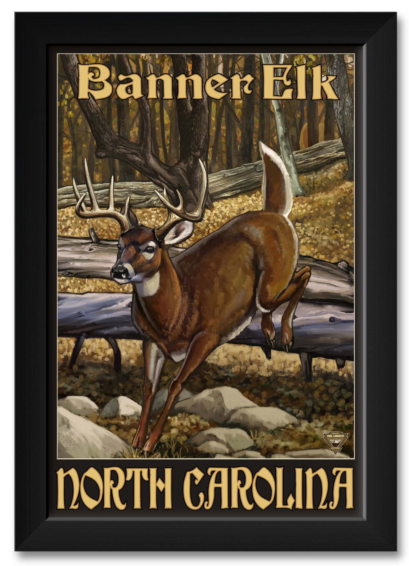 Banner Elk North Carolina Whitetail Deer Framed Art Print By Paul