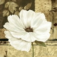 thumbnail image 2 of Gladding, Pamela 12x12 White Modern Wood Framed Museum Art Print Titled - Poppies in Grey I, 2 of 4