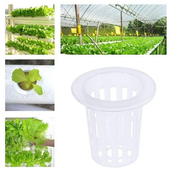 MLINS  50 Pcs Hydroponic Net Cups for Herbs Slotted Mesh Soilless Culture