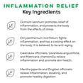 thumbnail image 4 of Té de hierbas LOOSE LEAF Inflammation Relief Organic 30 tazas, 4 of 5