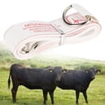 BOKYAN Cattle Tape Measure Bust Weight Contrast Ruler Soft Body ...