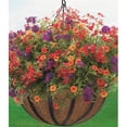 thumbnail image 1 of Lawnitator CobraCo 14 Inch English Flatwire Hanging Basket with Coco Liner, 1 of 1