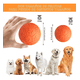 thumbnail image 2 of Pelota Para Perro Juguete Interactivo Chirriante Xtellar color naranja, 2 of 4
