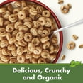 thumbnail image 5 of Cascadian Farm Organic Cinnamon Oat Clusters Breakfast Cereal, Made With Whole Grain, Non-Gmo, 15 Oz, 5 of 6