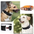 thumbnail image 5 of Medium sized tactical dog collar, training collar with quick release metal clasp, 5 of 5