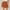 Orange #1, variant on Up to 60% Off! pstuiky Tennis Skirts for Women, Women's Irregular Solid Color Lined Cake Skirt Short Culottes Skirt Skorts for Workout Casual Clearance Items Green S #2