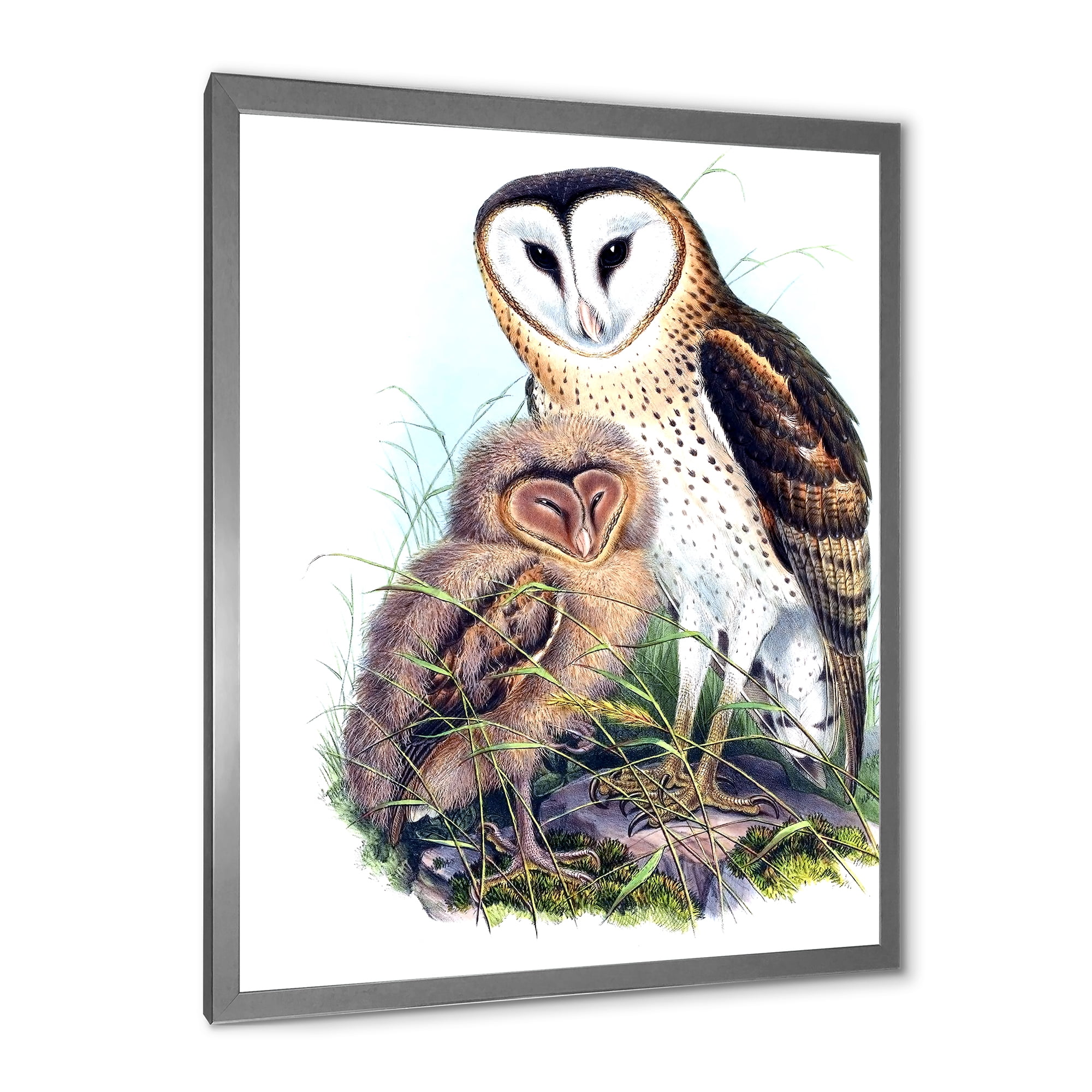 Designart 'Ancient Birds I' Traditional Framed Art Print