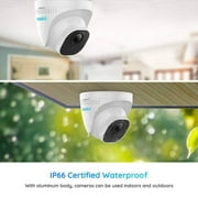 Reolink 8MP 8CH NVR Dome PoE Camera System Security Smart Home Detect 2TB HDD 24/7-Record 4Pcs 800D4