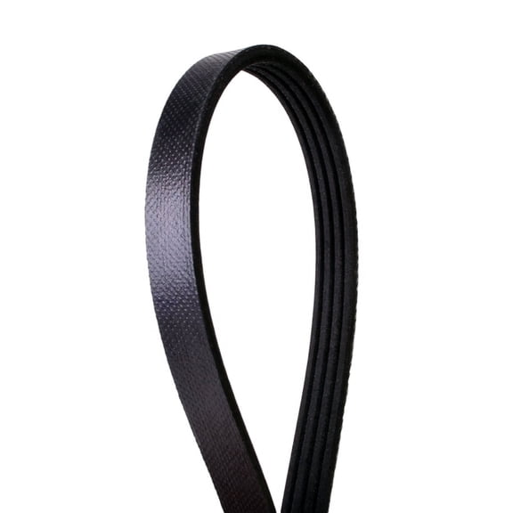 Automotive Multi-V Stretch Belt