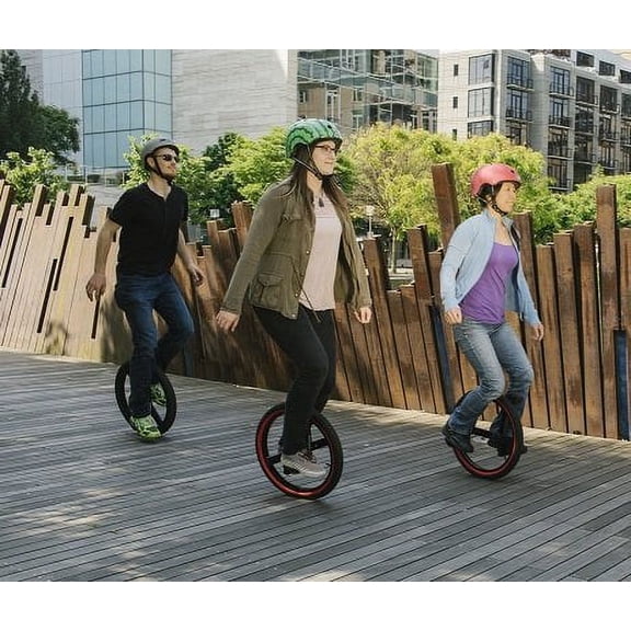 Lunicycle, a Standing Unicycle