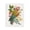 Tropical Parrot Floral, variant on Stupell Industries Eclectic Parrot with Eclectic Leaves Black Framed Giclee Art, 11 x 14, by Fineapple Pair