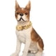 thumbnail image 5 of Collar dorado para perro, collar de cadena con hebilla resistente, collar de cadena de eslabones cubanos para perros grandes, collar de eslabones cubanos brillantes con cierre de circonita., 5 of 5