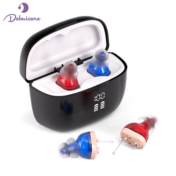 Delmicure Hearing Aids for Seniors with Charging Case, Digital Sound Device, Rechargeable, Memory Function, 8-Level Volume, Noise Reduction, VHP-1631