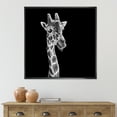 thumbnail image 2 of Designart 'Close Up Portrait Of A Giraffe On Black II' Farmhouse Framed Canvas Wall Art Print, 2 of 5