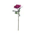 thumbnail image 2 of Rosa Artificial Mainstays Magenta 42 cm, 2 of 4
