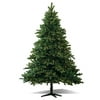 7.5' Pomona Pine Pre-Lit Christmas Tree PE/PVC, Clear Bulbs
