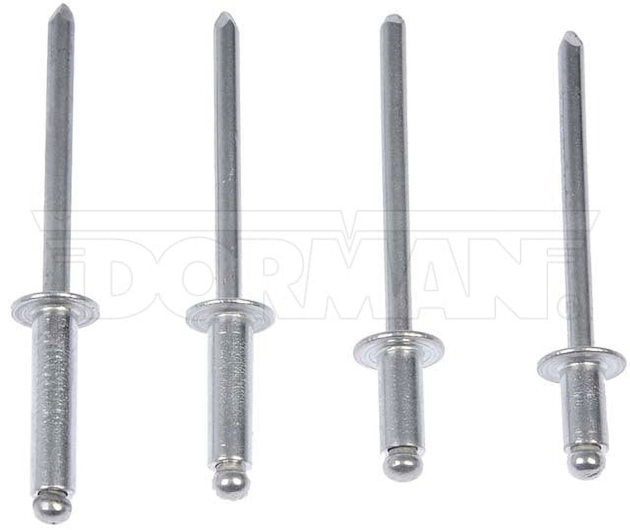 Dorman OE Solutions - Rivet Assortmnt