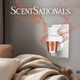 thumbnail image 3 of (2 pack) ScentSationals Aroma Accent Fragrance Oil, Feelin Cozy, 3 of 8