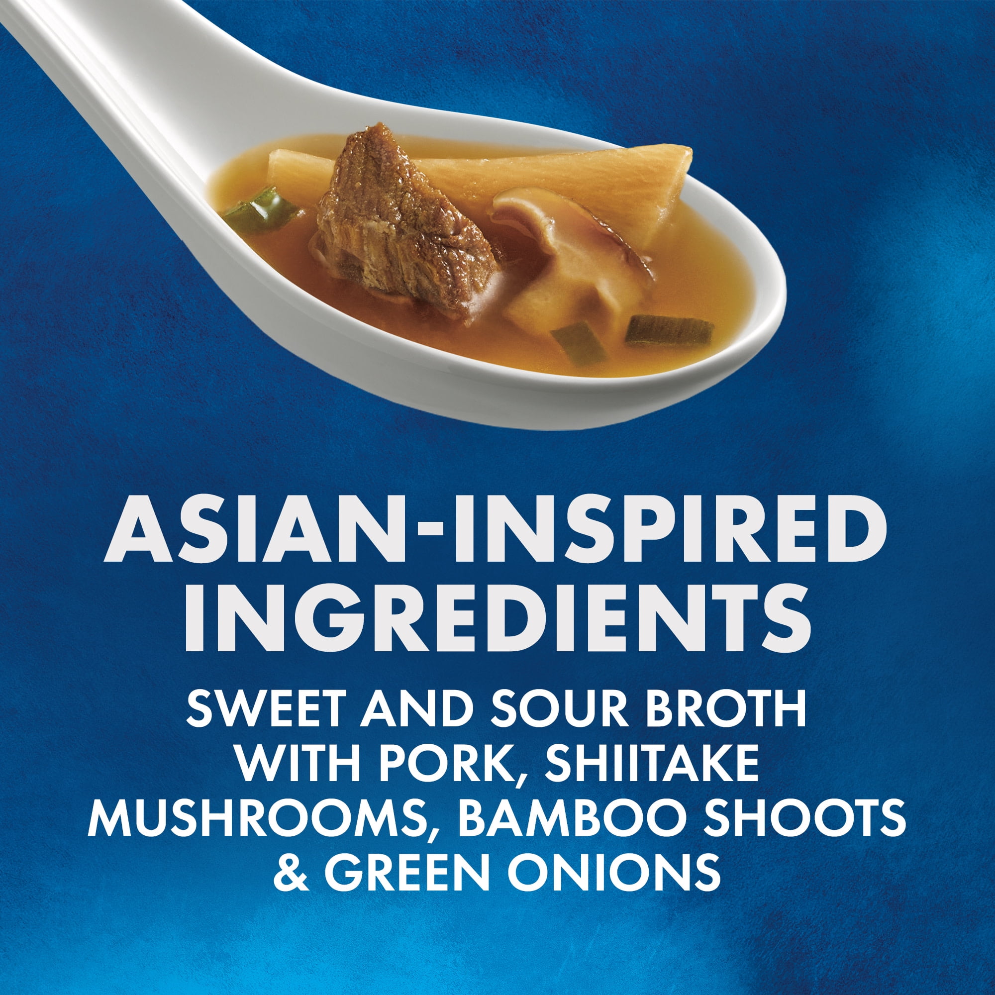 La Choy Hot & Sour Soup With Pork 14.5 oz