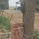 thumbnail image 1 of Bicycle Wall Hook, Bicycle Rack, Wall Rack, Adjustable Parking Rack, Mountain Bike Display Rack Black Hook with Gear, 1 of 5
