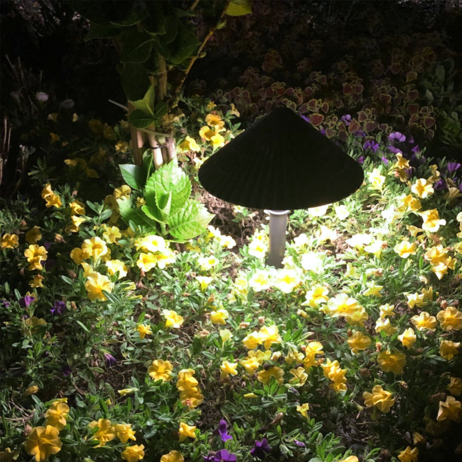 8 Pack 3W LED Outdoor Landscape Light, 12-24V Low Voltage, Waterproof Aluminum Housing, for Outdoor Pathways & Gardens, 5000K Daylight