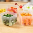 thumbnail image 4 of Fiudx Ofertas y liquidaciones Caja de conservación de ajo y jengibre verde picado para cocina, Caja de almacenamiento sellada especial para refrigerador, caja de almacenamiento de calidad alimentaria, 4 of 7