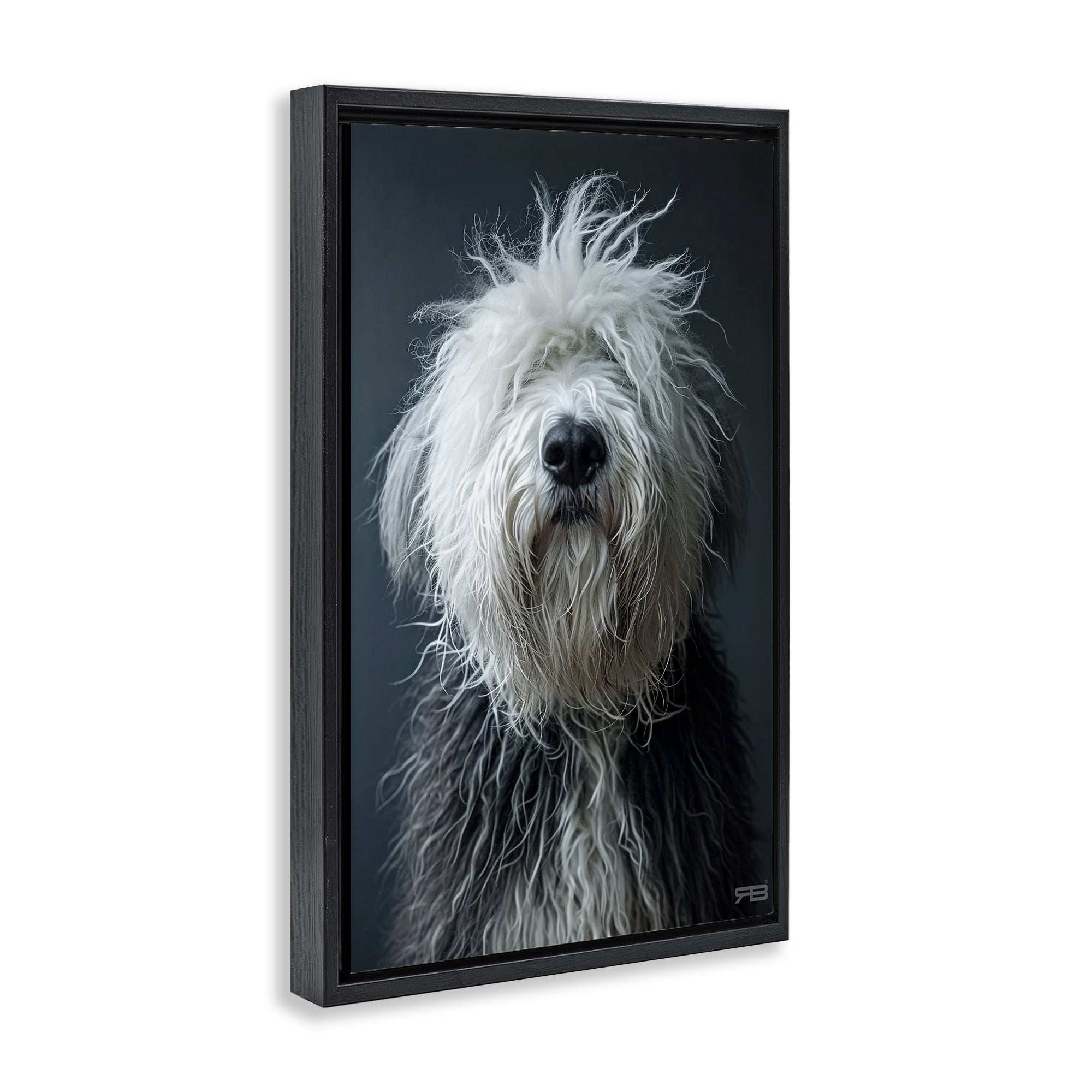 Stupell Industries Shaggy Pup Portrait Animals & Insects Painting Black Floater Framed Canvas Art Print Wall Art, 21 x 31