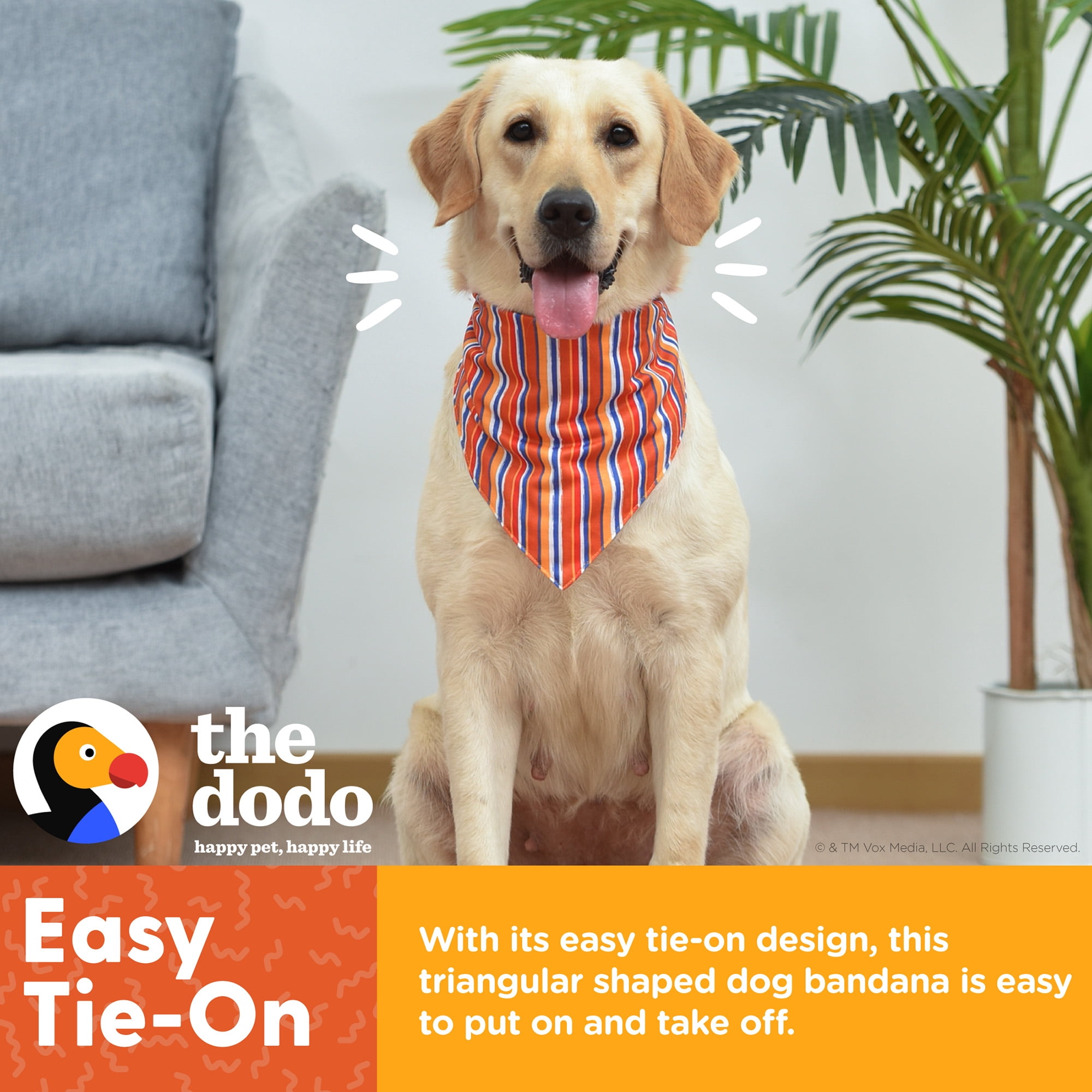 (4 pack) The Dodo Striped Dog Bandana, Multicolor, One Size Pet Apparel
