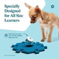 thumbnail image 4 of Botones para perros FluentPet Speak Up, 6 botones grabables de entrenamiento, 4 of 5