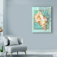 thumbnail image 3 of Trademark Fine Art 'Conch Shell and Coral' Canvas Art by Lori Schory, 3 of 4