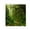 E, variant on LSLJS Nature Landscape Shower Curtain Set with 12 hooks Tropical Forest Summer Scenery Printed 150X180cm Waterproof Quick-dry Mildew-proof Machine Washable For Bathtubs Spa Bathroom