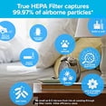 thumbnail image 6 of Filtrete 13 in H x 8.2 in W Rectangular HEPA Air Purifier Filter 1 Pack, 6 of 9