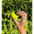 thumbnail image 5 of Logitech MK270 Wireless Keyboard & Mouse Combo Active Lifestyle Travel Home Office Must-Have Modern Bundle with Mini Glow in the Dark Portable Wireless Bluetooth Speaker, Gel Wrist & Mouse Pad, 5 of 7
