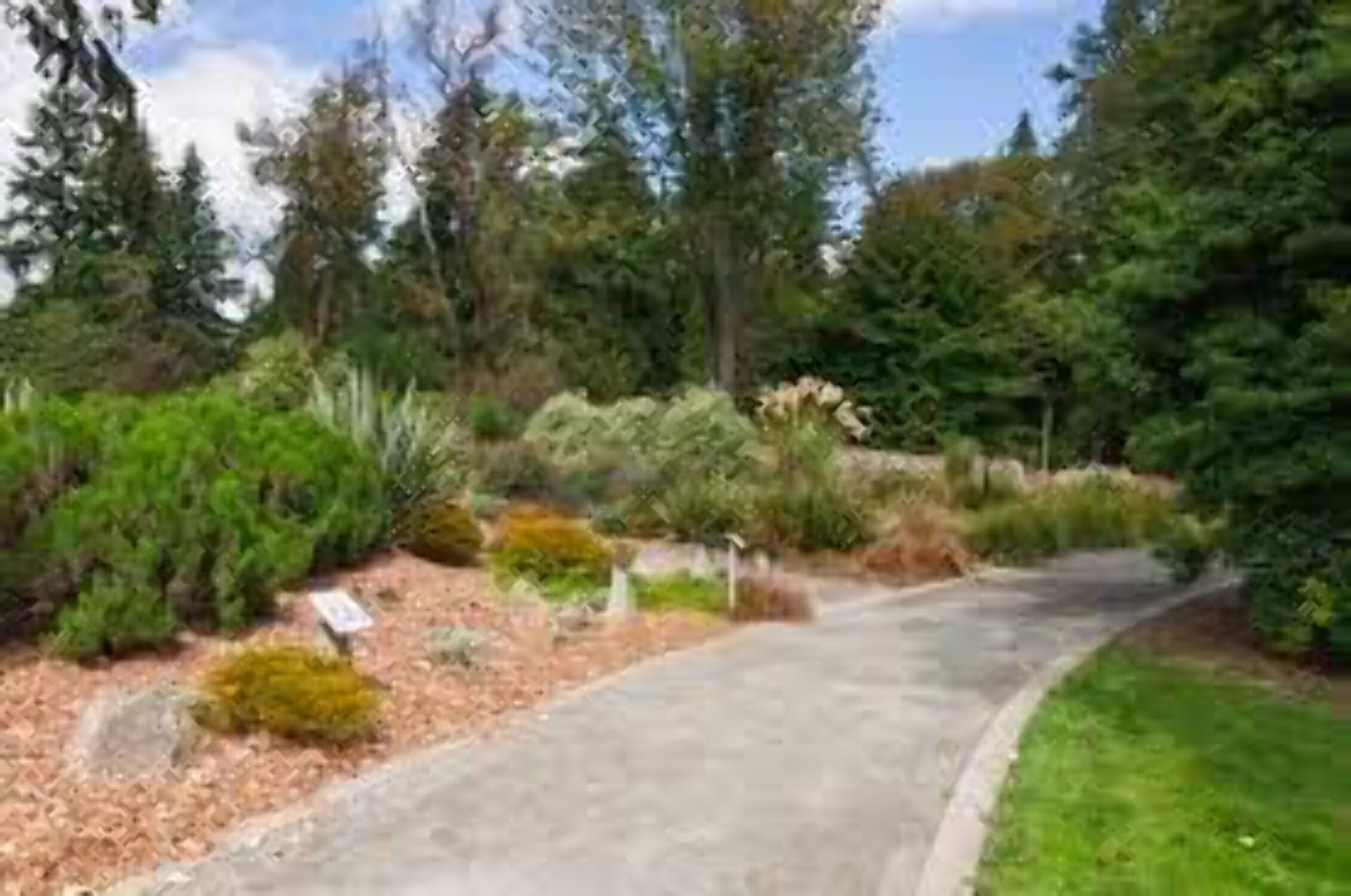 Peach Country Premium Cedar Chips (2 cu. ft.) - Cedar Mulch for Landscaping Areas, Home Gardens, Potted Plants and More.