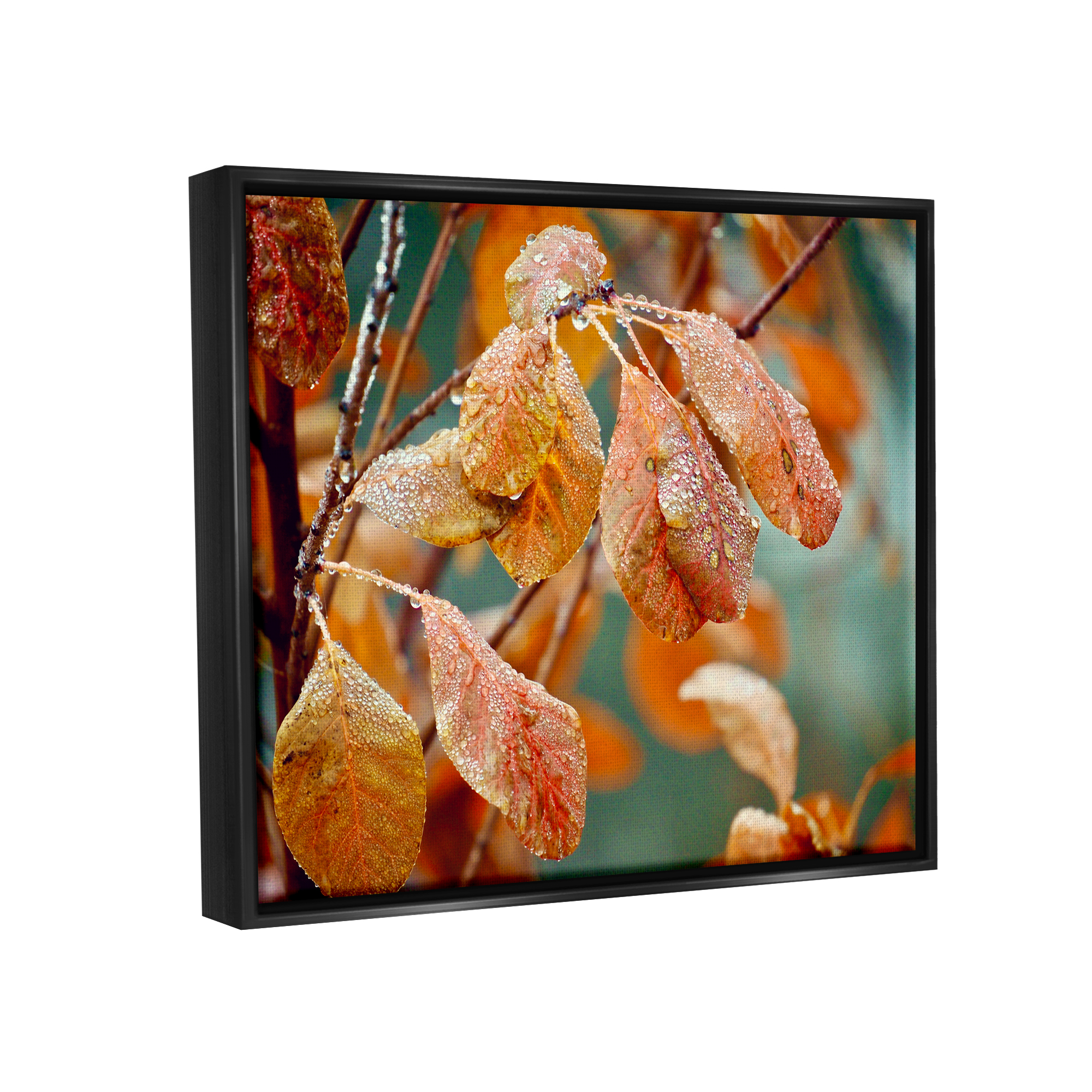 Stupell Industries Autumn Tree Leaves Water Droplets Fall Foliage Photograph Jet Black Floating Framed Canvas Print Wall Art, Design by Gail Peck