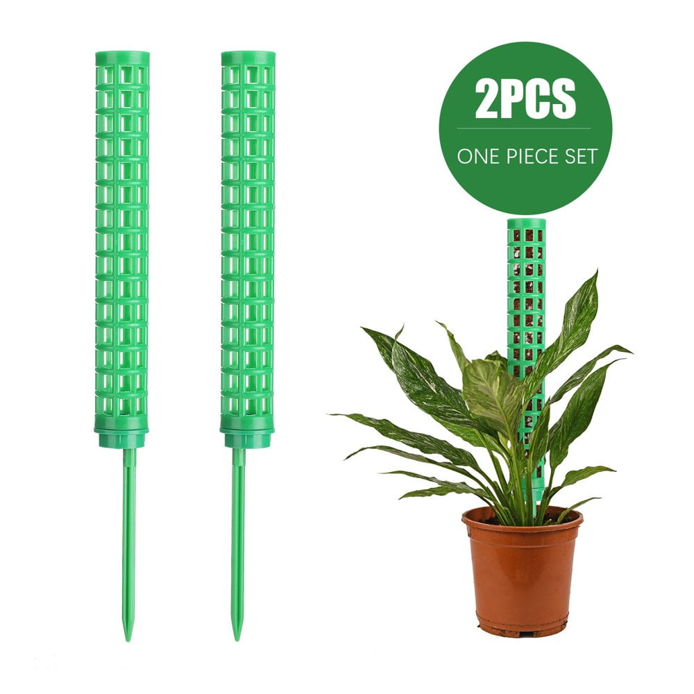 Lot De 6 Supports Pour Plantes Grimpantes Pour