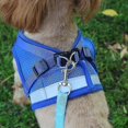 thumbnail image 3 of Cat Harness, Cat Harness Escape Proof, 3 of 4