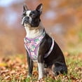 thumbnail image 5 of Beirui Floral Pet Dog Cat Harness Reflective Soft Air Mesh Walking Vest for Small Large Dogs, 5 of 5
