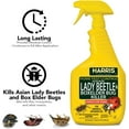 thumbnail image 3 of HARRIS Asian Lady Beetle and Box Elder Killer, Liquid Spray with Odorless and Non-Staining Extended Residual Kill Formula 32oz, 3 of 7