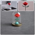 thumbnail image 3 of Rose Flower in Glass Dome Decorative Preserved Flower Adornment with Gift Box, 3 of 6